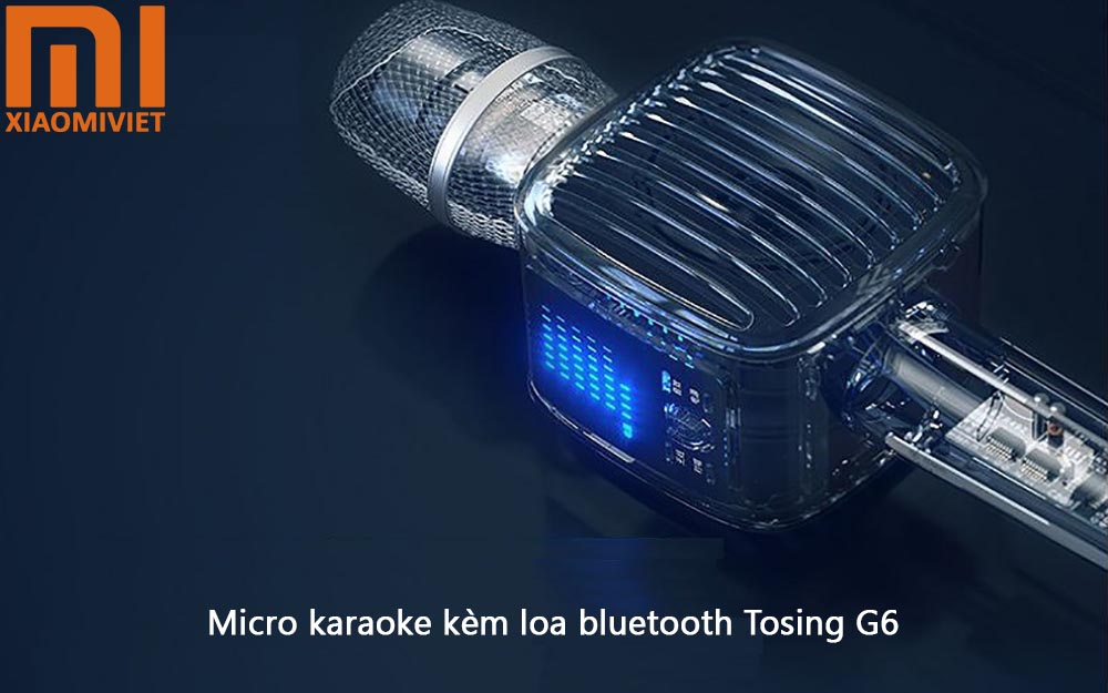 Micro karaoke kèm loa bluetooth Tosing G6