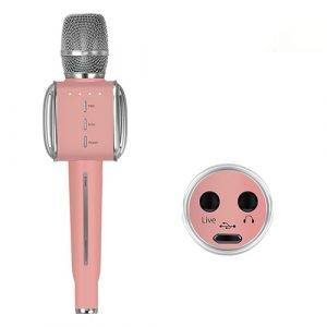 Micro karaoke kèm loa bluetooth Tosing G1 (1)